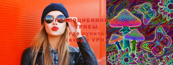 твердый Нефтекумск