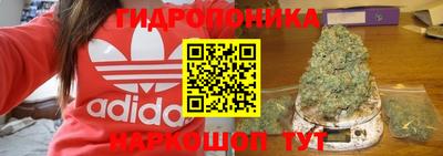 прущие крисы Партизанск