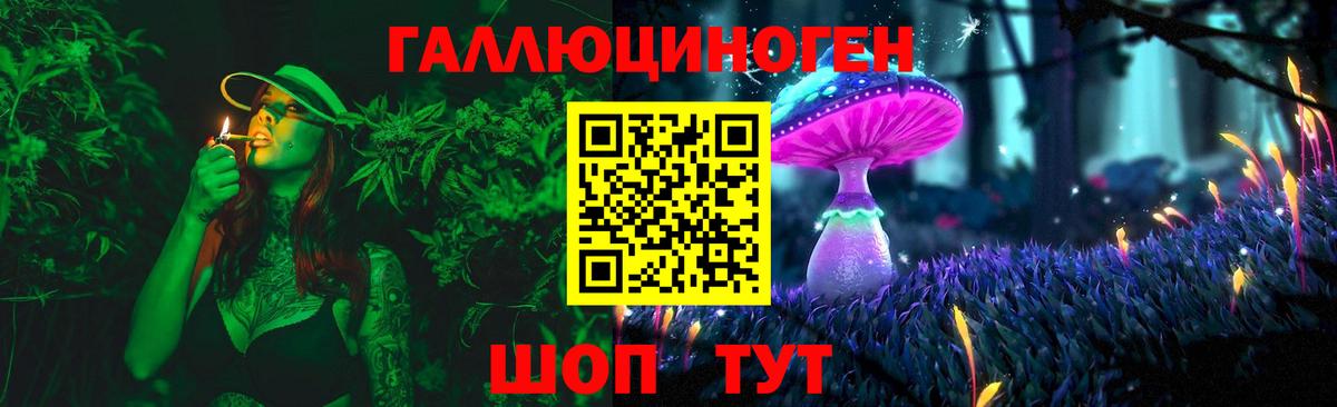 Псилоцибиновые грибы прущие грибы  Псилоцибиновые грибы Cubensis  Вход с VPN  Новочебоксарск 